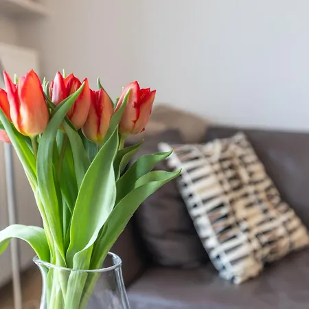 Apartamento Eden Roc 217 Ostende